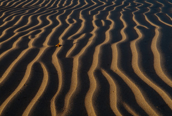 Desert dunes lines abstract 