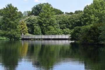 Obraz premium lake in the park