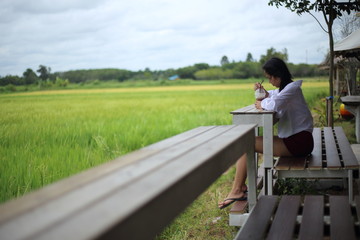 Woman sitting and watching rice fields Rayong, Thailand