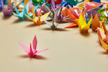 Origami Crane colorful background