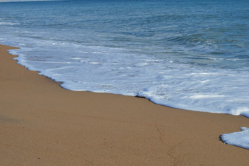 Olas