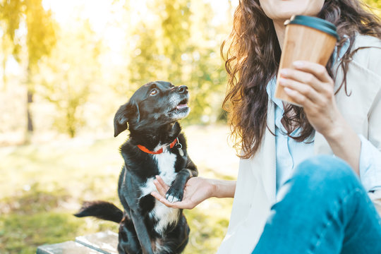 Cropped image of a girl sitting on a park bench talking with her little black dog and holding a paw, drinking coffee to go on a sunny day (focus on dog)