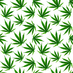 Marijuana gouache seamless pattern . Hemp marijuana, hemp leaves on white background. Green smoke hashish narcotic