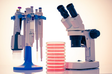 microscope, petri dishes and pipette stand by microbiological laboratory