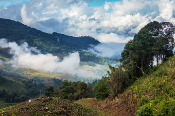 Beautiful of multiple mountains valley at sunrise in the morning at Phu chi Duen, Chiang Rai Province, Thailand