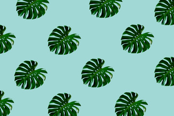 Naklejka premium top view of green monstera leaf pattern on bright light blue background. minimal summer concept