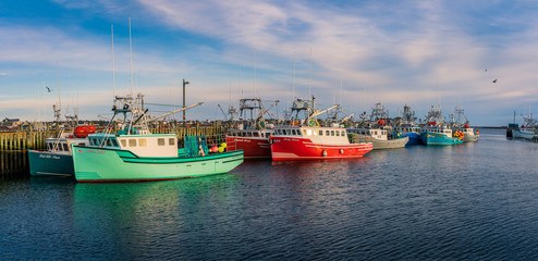 Sunset scene at the ocean coast