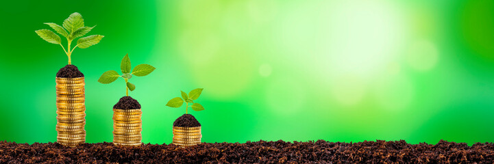 Chart with stack of coins as a symbol of growth
