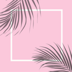 Fototapeta na wymiar top view of tropical palm leaf shadow with white frame on pink color background. minimal summer concept. flat lay