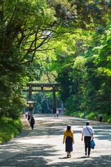 明治神宮参道