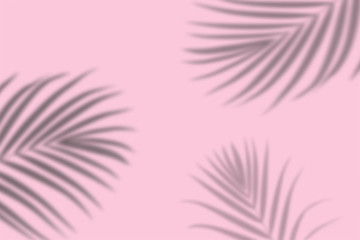 Fototapeta na wymiar top view of tropical palm leaf shadow on pink color background. minimal summer concept. flat lay