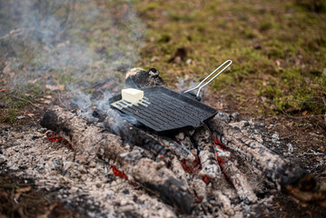 barbecue on the grass