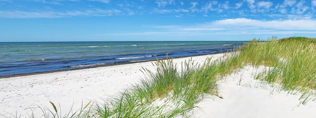 Foto op Aluminium Oostzeestrand met duinen en zee in de zomer - Oostzeepanorama © ExQuisine