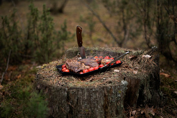 barbecue in the forest