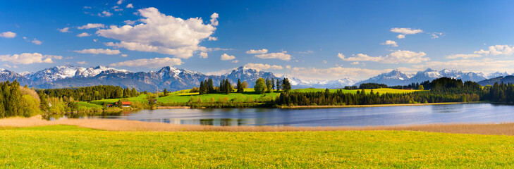 panorama landscape in Allgäu at spring