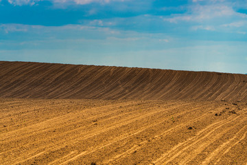 Fototapeta premium Plowed field and blue sky
