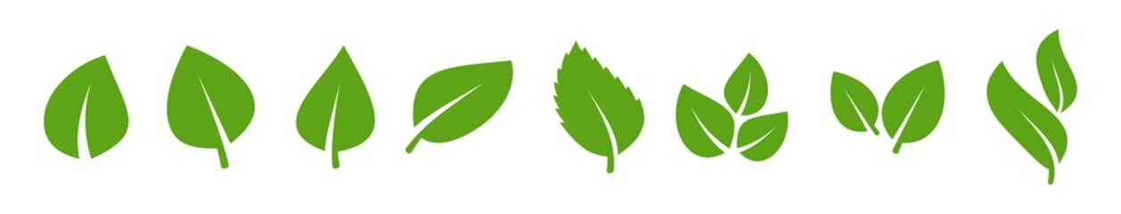 Set of green leaf icons. Green color. Leafs green color icon logo. Leaves on white background. Ecology. Vector illustration.