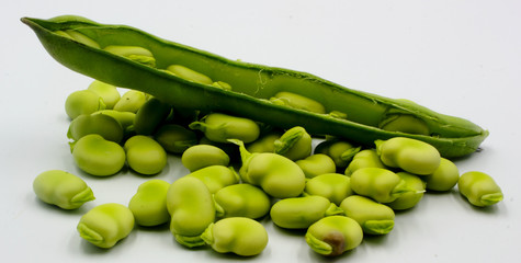 panoramic of open green broad beans in their shells and some shelled beans isolated on a white background