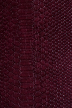 red skin leather texture for background