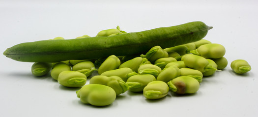 panoramic of open green broad beans in their shells and some shelled beans isolated on a white background