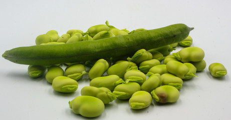 panoramic of open green broad beans in their shells and some shelled beans isolated on a white...