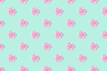 Flower floral pattern with sakura flowers petals and on turquoise background