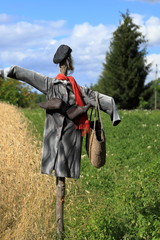 Strach na wróble... © zientas