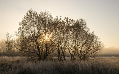 Bright frosty morning