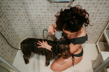 .Young dog owner showering her furry pet at home due to the closure of dog grooming during the pandemic caused by covid19. Lifestyle at home