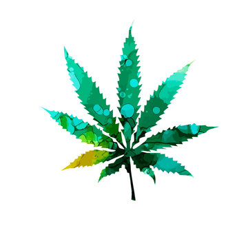 Cannabis or marijuana leaf multi-colored icon , mixed media. Vector illustration