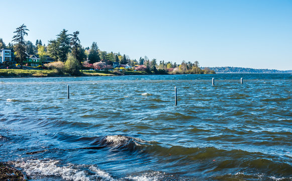 Lake Washington Boulevard 2