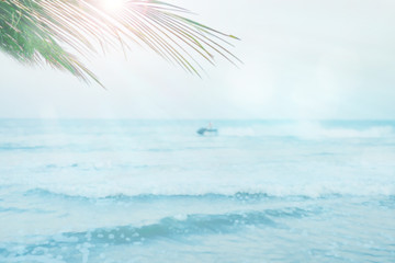 abstract blur web banner and summer background tropical palm and jet ski with driver move on blue sea