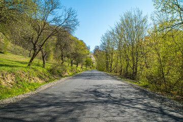 asphalt road leading into the woods. outdoor recreation.