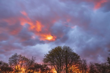 Naklejka na ściany i meble Gorgeous view of red sunset on spring day. Amazing nature backgrounds.
