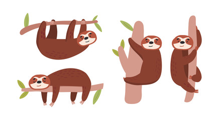 Flat cartoon Collection of lazy and cute sloths. Vector illustration isolated on white background for web and design