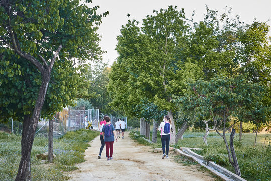 El Viso del Alcor (Seville, Spain), May 4 2020