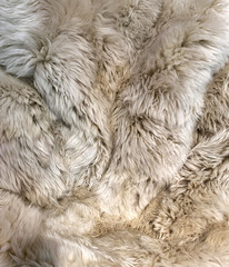 Close up view of fake, artificial, fluffy wool fur background.