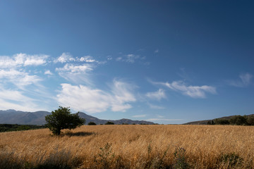 Fototapeta premium Beautiful landscape with blue sky and beautiful clouds