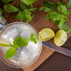 Preparation of fruit drink with lemon and mint. Top view - 345697632
