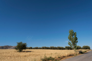 Spring landscape in southern Crete