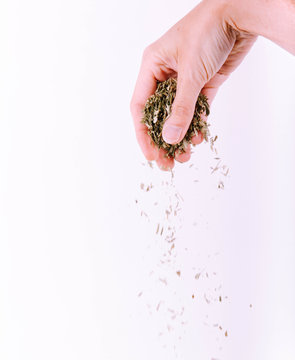 Momento de esparcir especias sobre alimentos