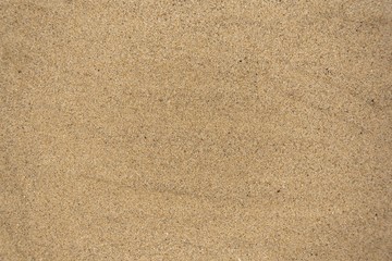 Fototapeta na wymiar Background with empty sand and free space