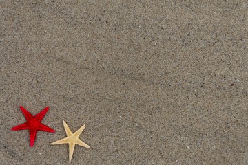 Background with sand and starfish