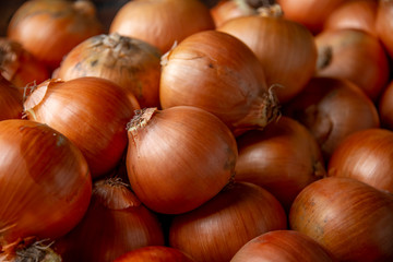 Group of ripe onions.
Closeup view.