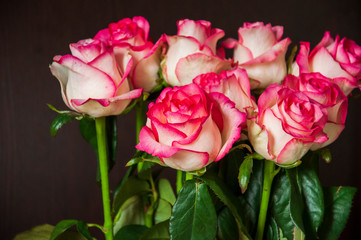 Lovely bouquet with big flowers of roses of bright pink and white color are staying on the table. Green leaves and thorns. Still life. Brown  background