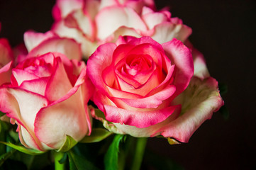Lovely bouquet with big flowers of roses of bright pink and white color are staying on the table. Green leaves and thorns. Still life. Brown  background