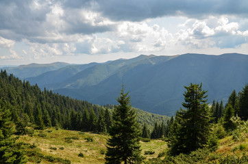 Landscape of Carpathian mountain range covered with pine trees under cloudy sky. Beautiful view to the mountains near village Kolochava