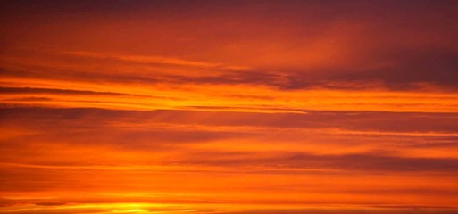 Orange background © Sawomir