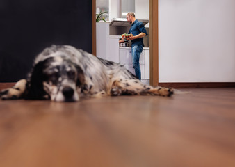 Distant view of man in the kitchen of his apartment with dog lying in foreground.