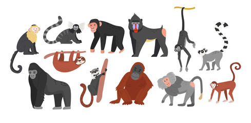 Big collection of funny cartoon different monkeys. Huge set. Vector illustration for web and design © Katie